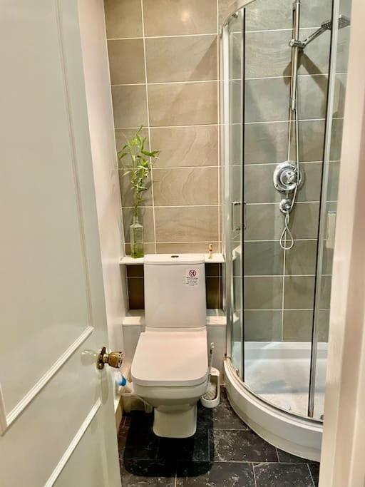 Spacious Flat With Huge Patio In * London